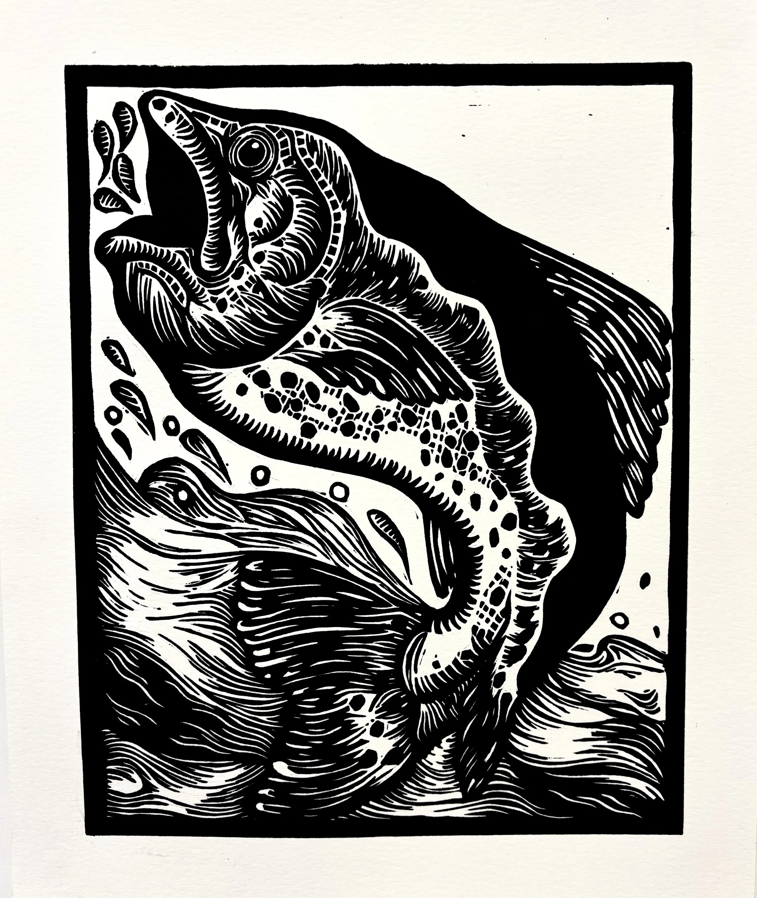 fish1pair.jpg