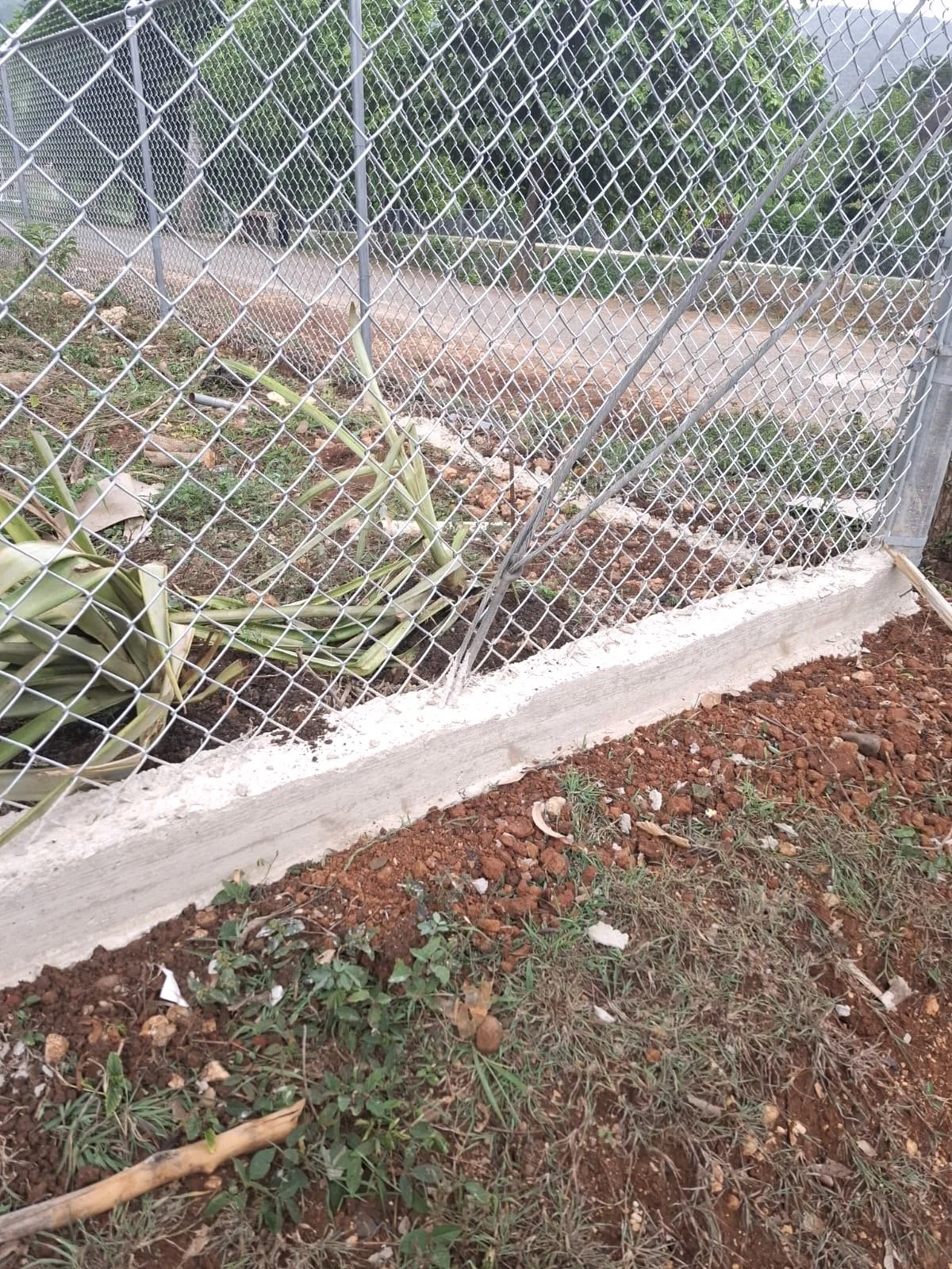 8ab5e017-90f5-4010-aed7-dbd892be31e5 2.jpg