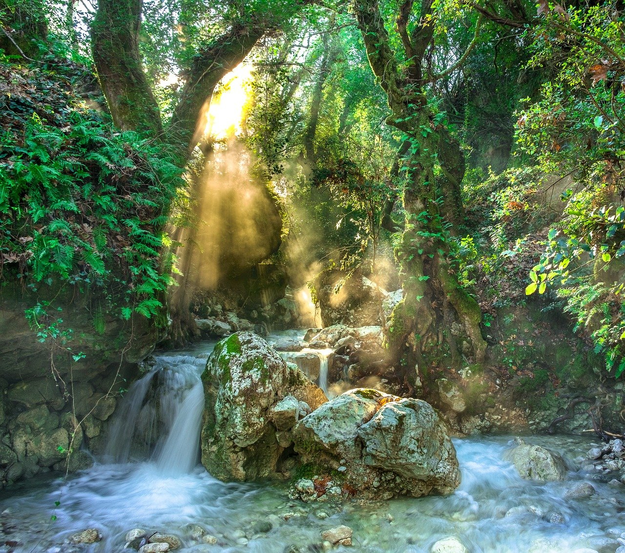 Rainforest Waterfall with Light Shining Through_1280 px.jpg