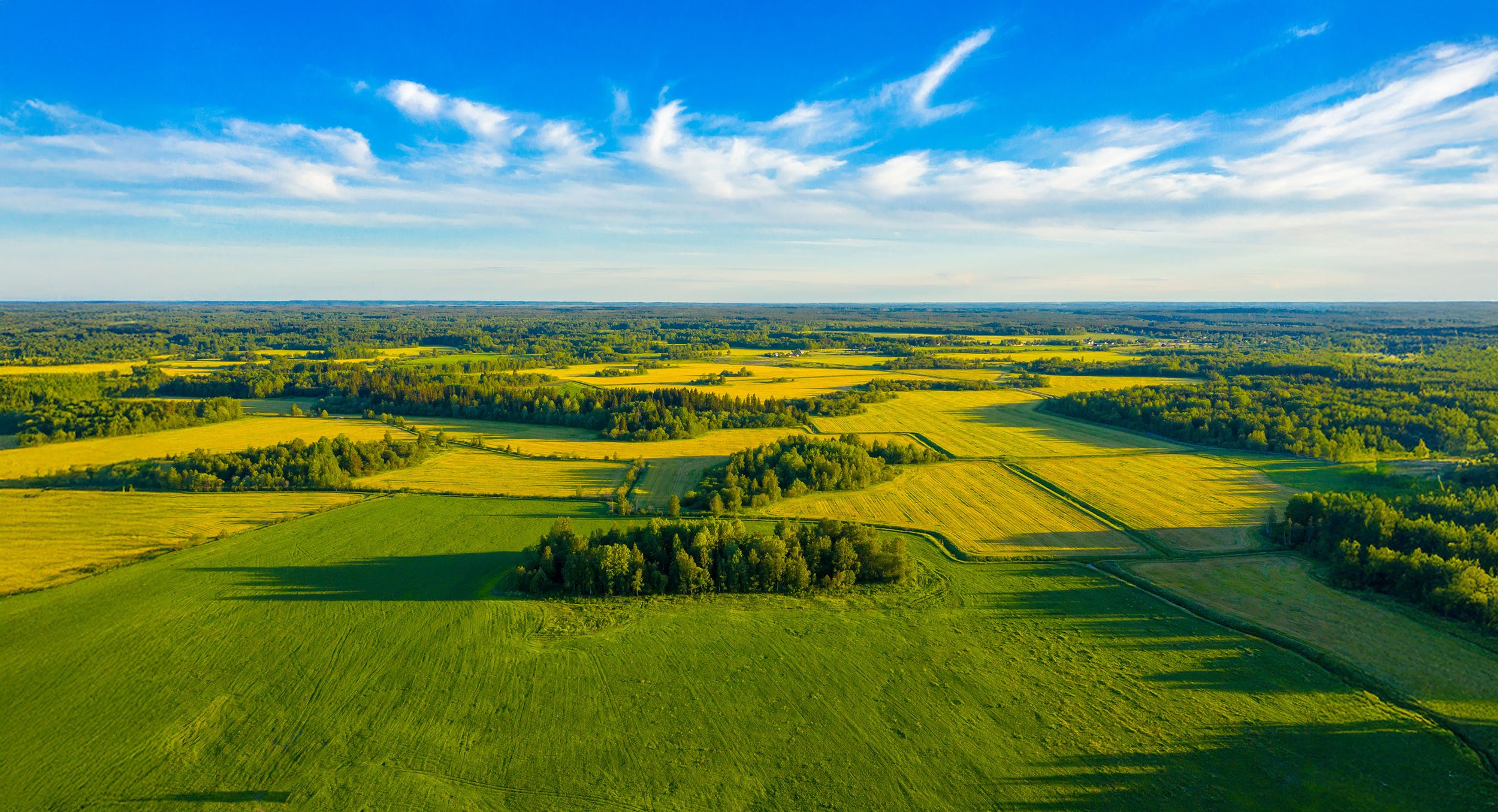 Haggard Land Co-Land Services.jpg