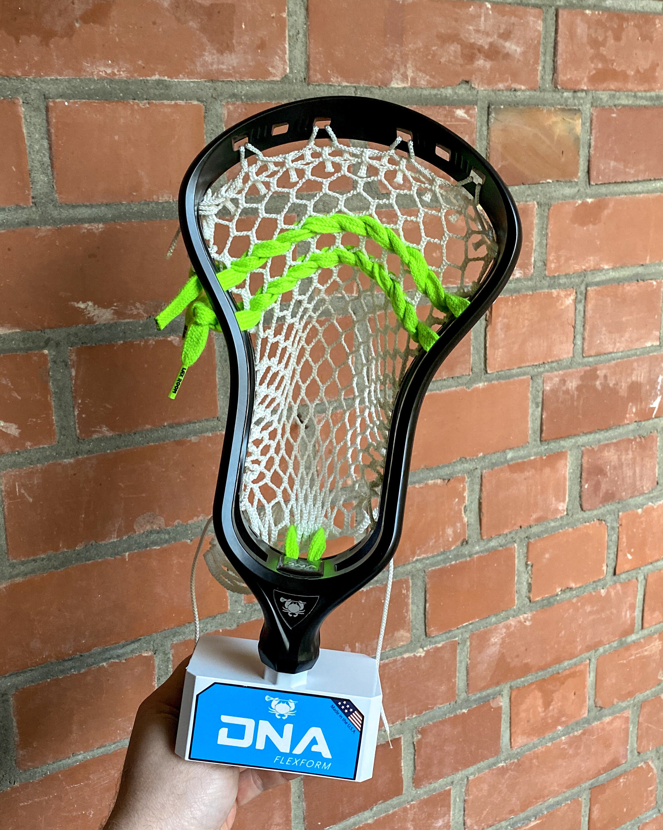 ECD DNA H2.0.JPG