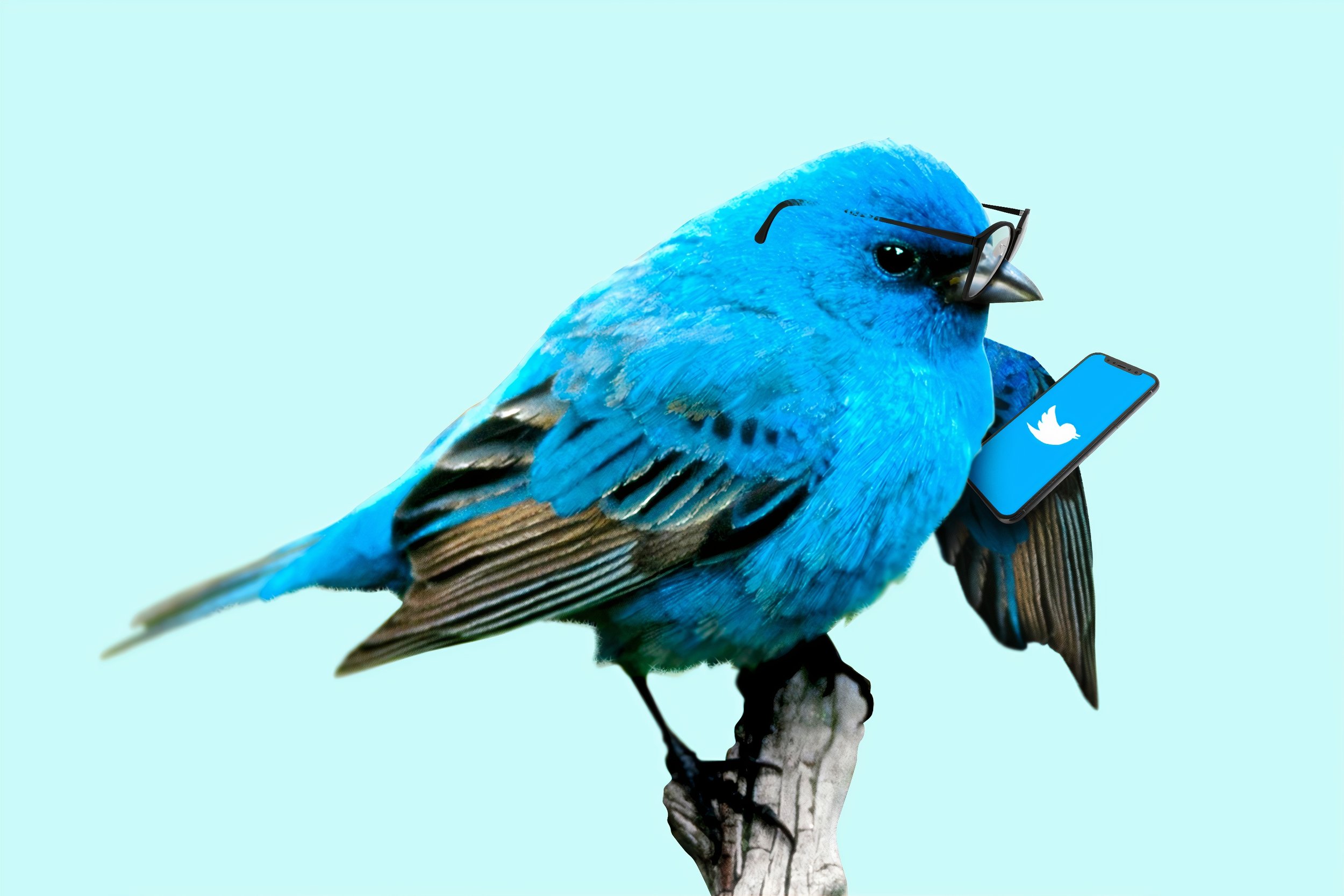 The Wall Street Journal Spoke to Fanusie about #Twitterhack