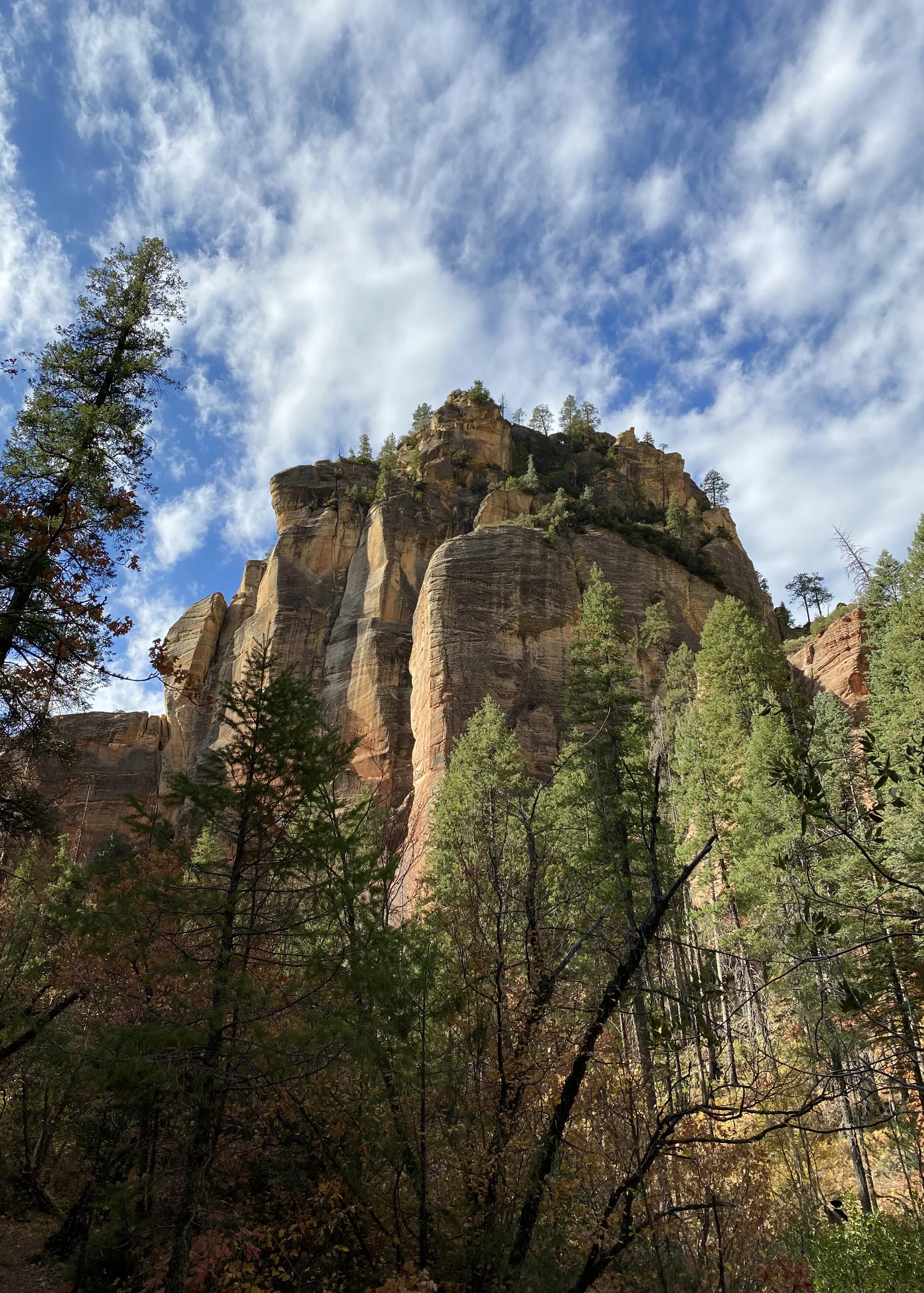 Northern Arizona 2020