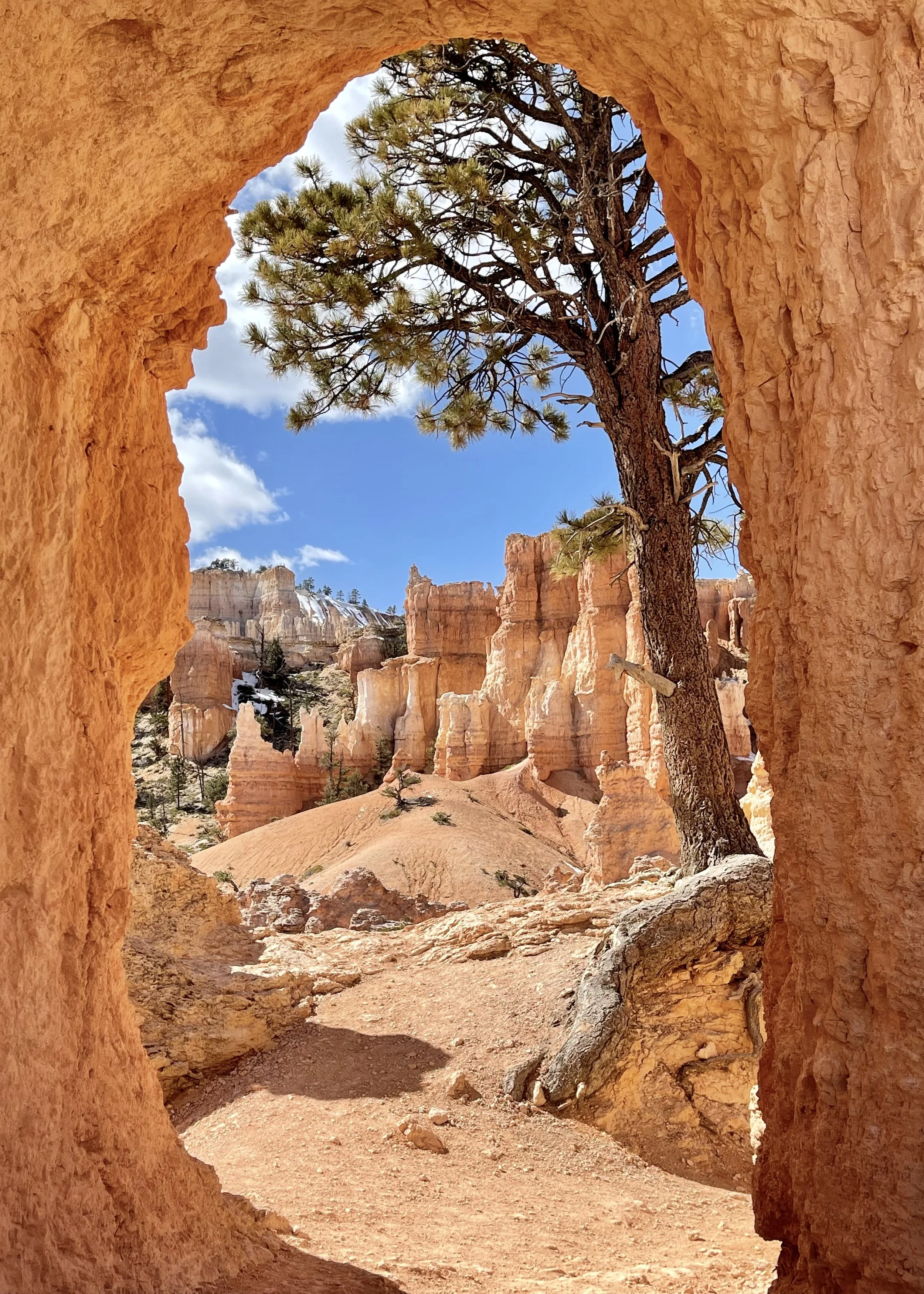 Utah: Zion and Bryce National Parks 2022