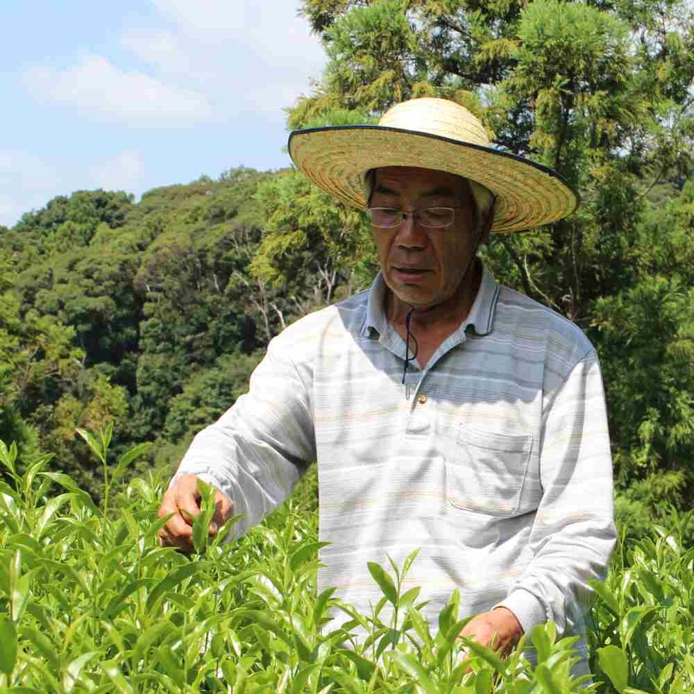 Yoshiharu tea farmer matcha.jpg