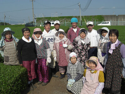 Iwakura-san's volunteer helpers for the spring harvest.