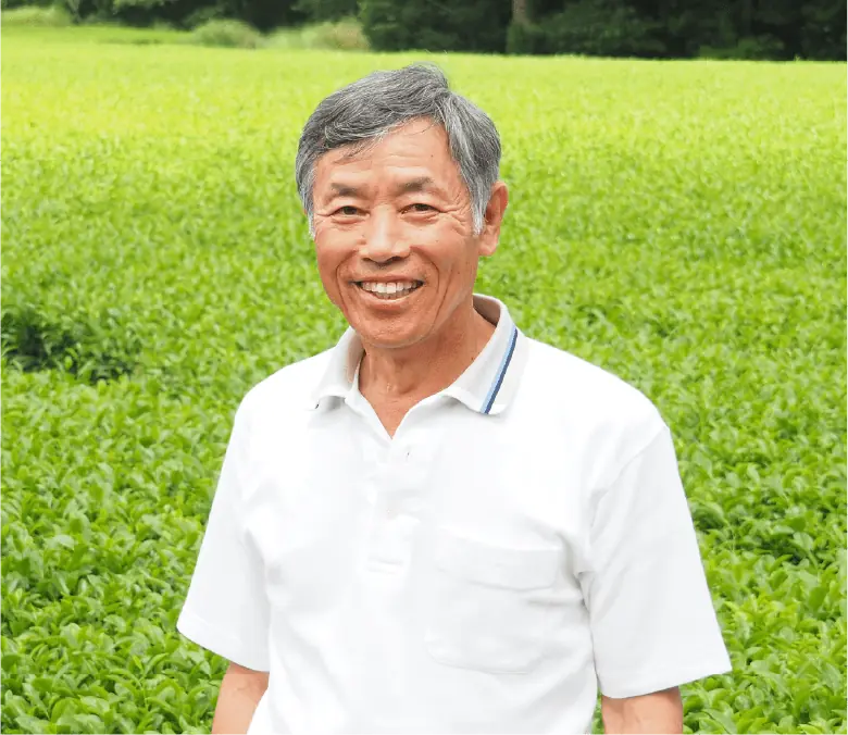 Shincha 2026 Premium Japanese Green Tea Sencha Gyokuro.png