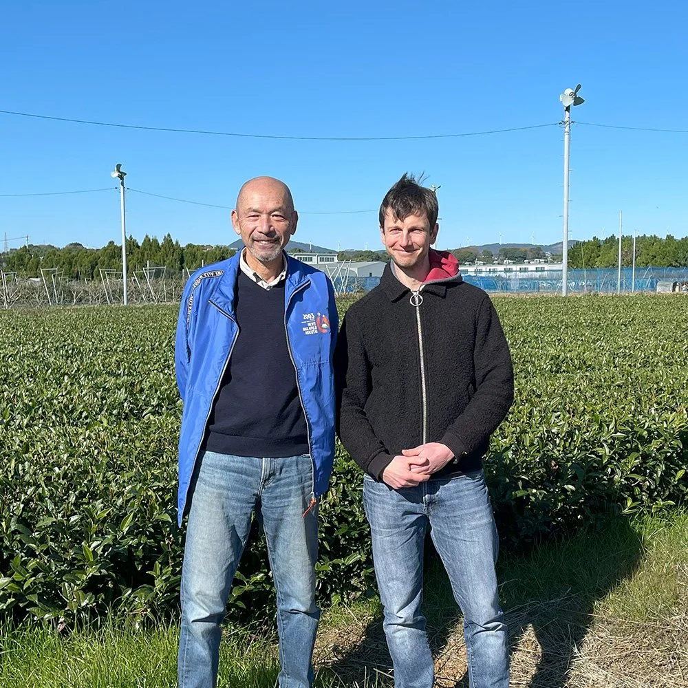 Matcha Tee Japan Herkunft Teefeld Shizuoka Hasegawa.jpg