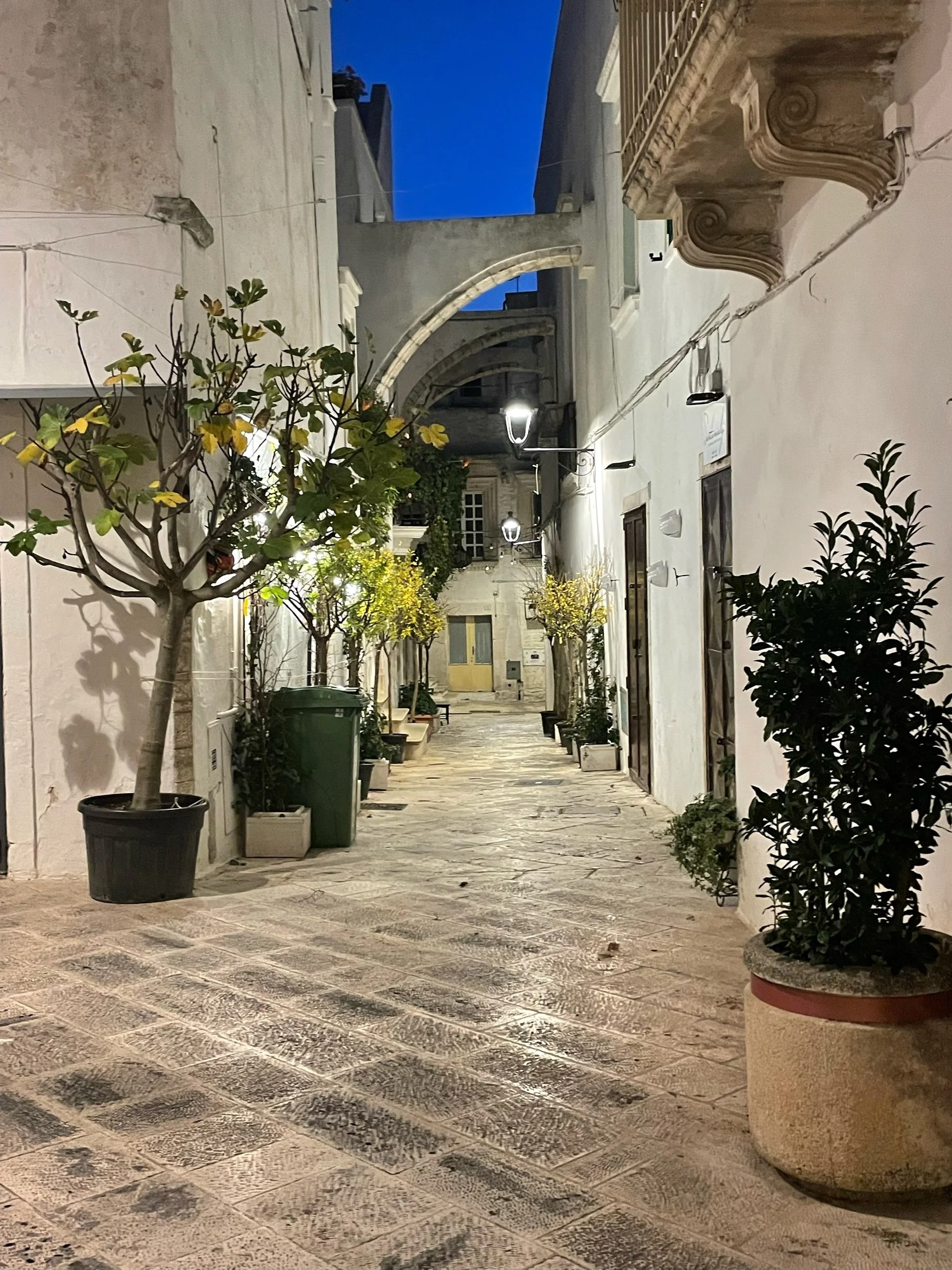 IMG_6322.jpeg