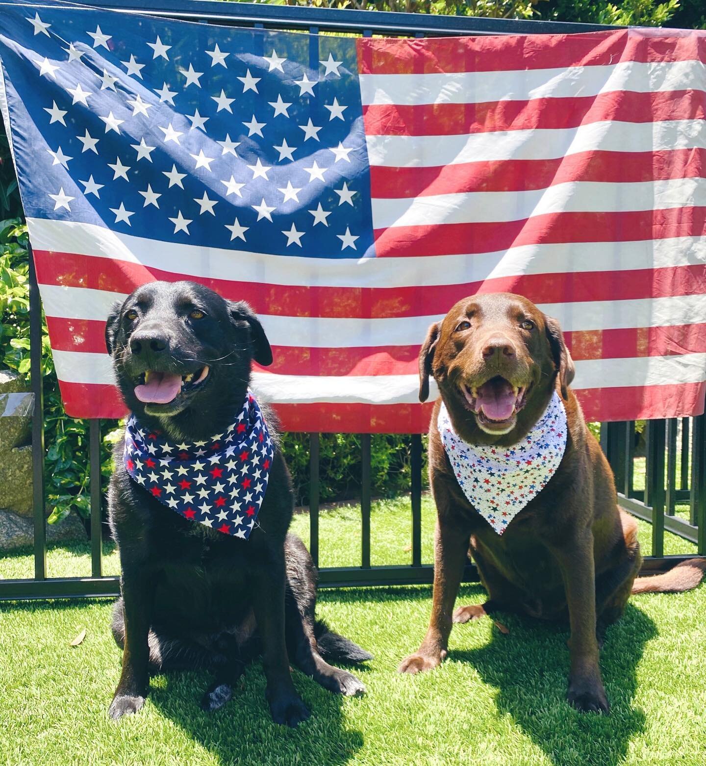 Happy Birthday America! 🎂🇺🇸 
Have an awesome holiday weekend, and be safe out there everyone! 
Make sure you&rsquo;re comforting your pups 🐶 and keeping an eye on them, as many will be frightened by the fireworks 🧨