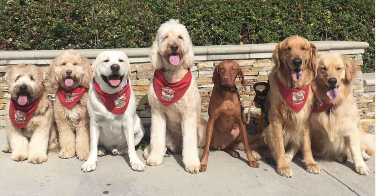 Screen Shot 2020-09-30 at 1.11.18 PM.png