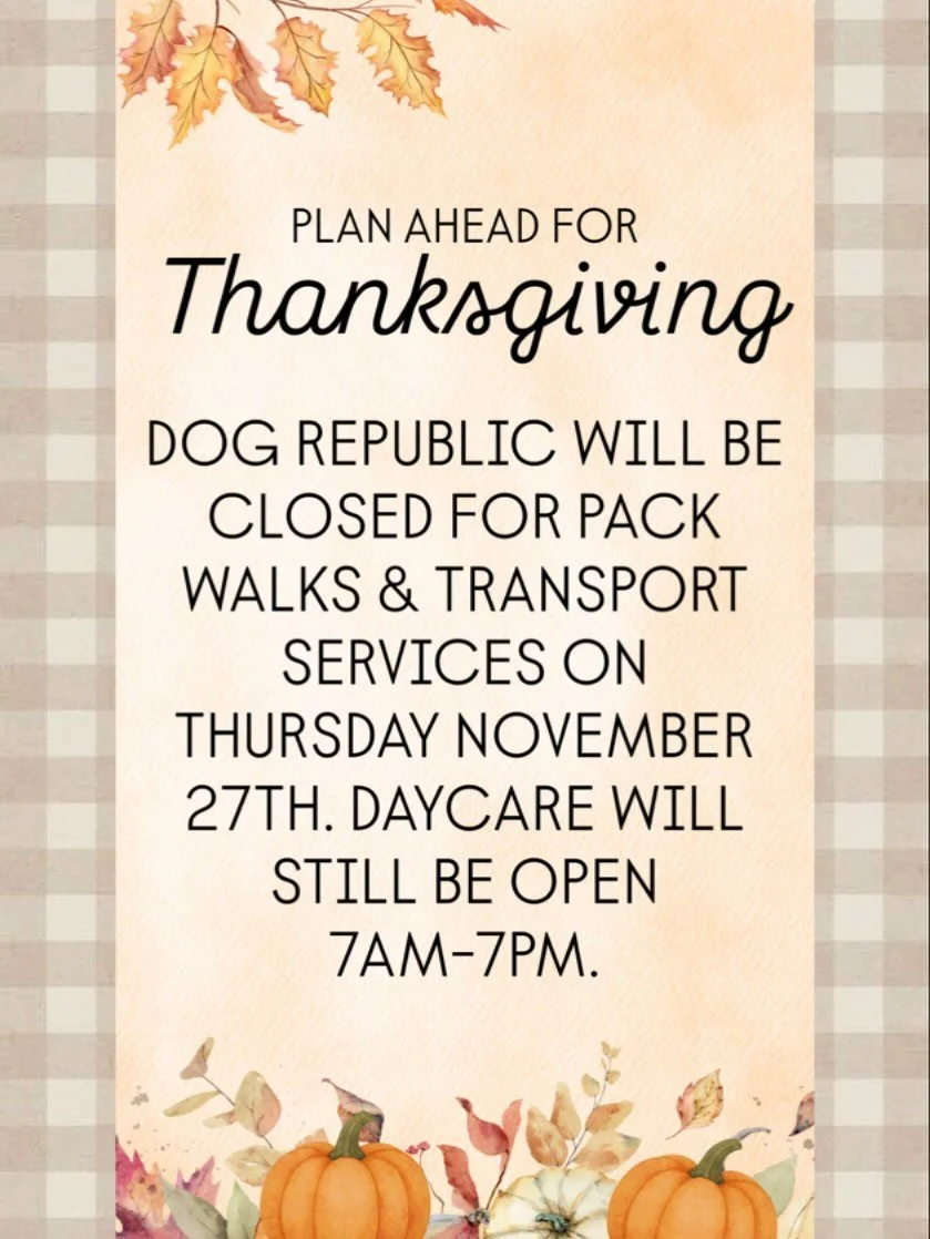 Turkey time is coming so don&rsquo;t forget to plan ahead! 🦃 🥧 Dog Republic will be open for daycare only.