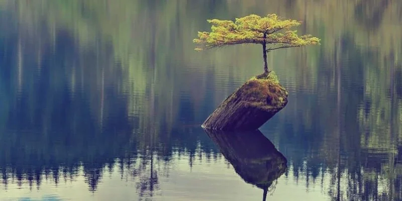6/28/2020 Sunday Gathering: How does creativity play a role in our resilience?