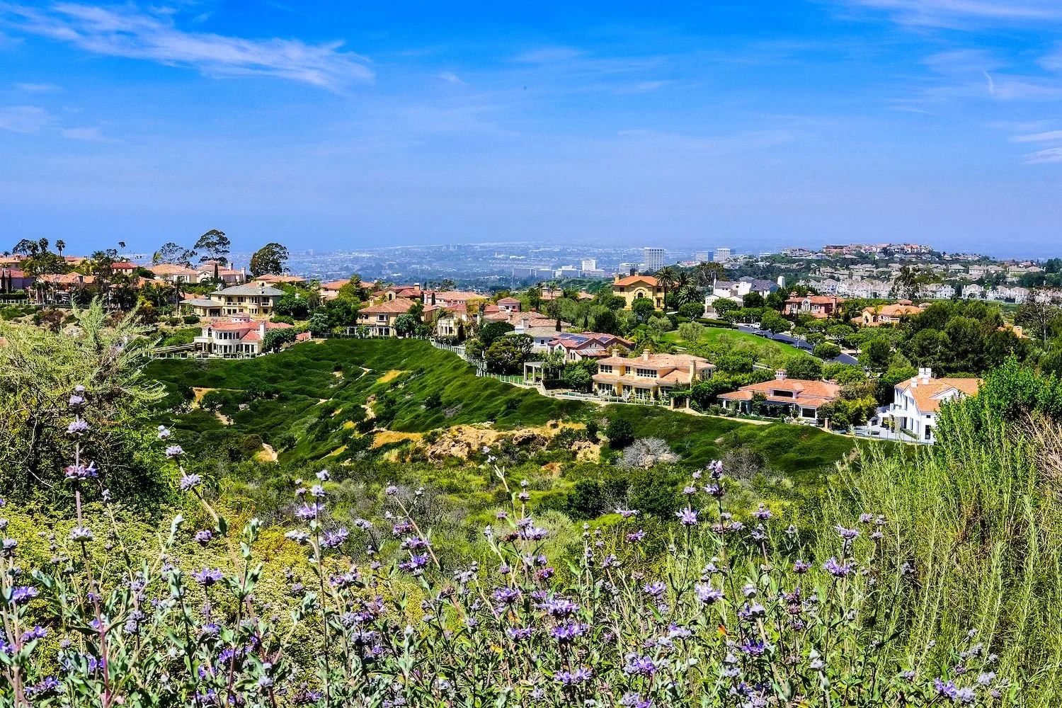 Laguna Hills Dinner & Dialogue