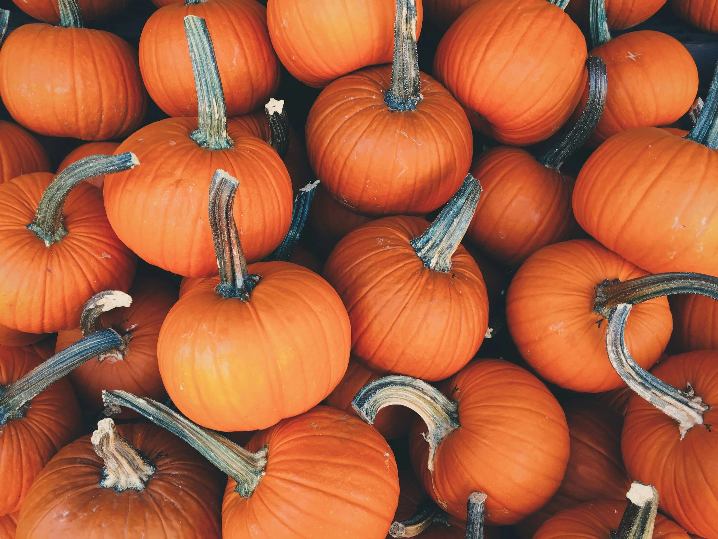 Trick-or-Treat &amp; Eat