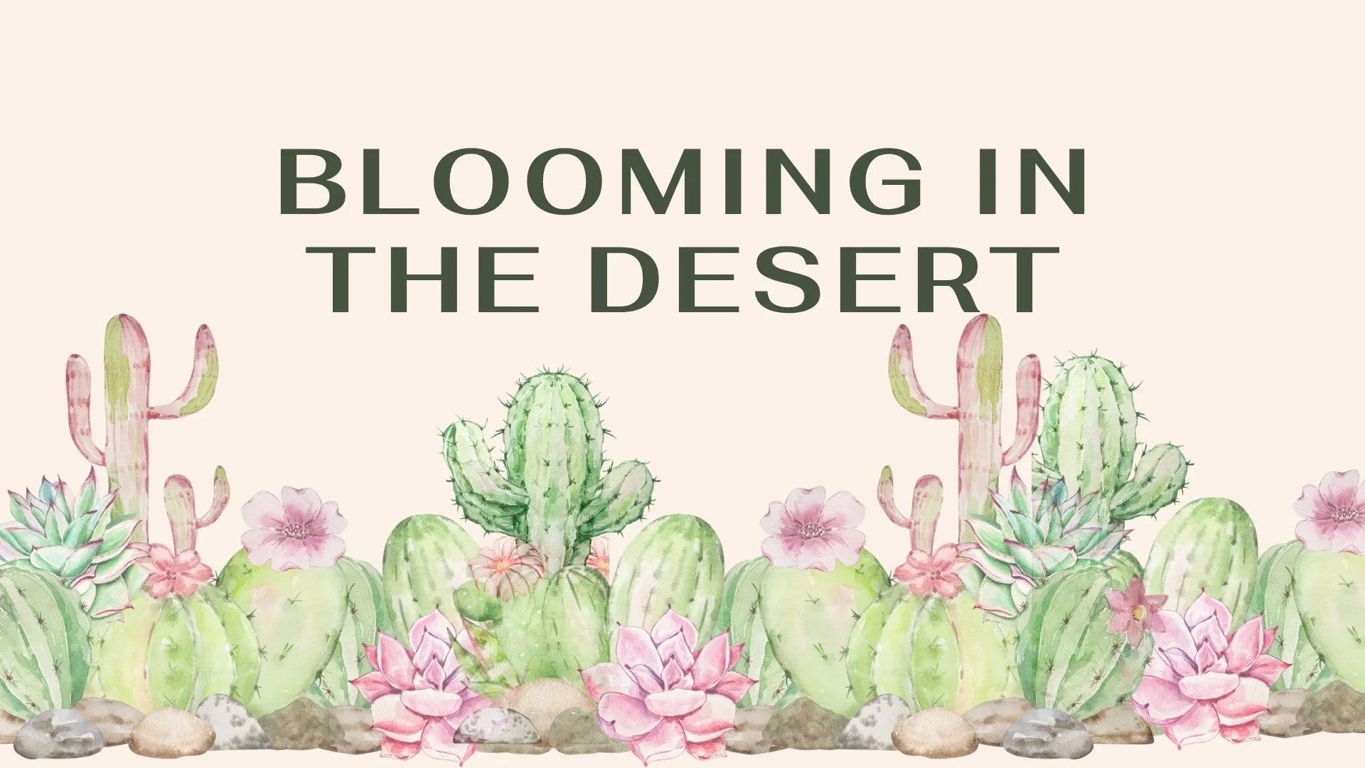 Women's Retreat: Blooming in the Desert