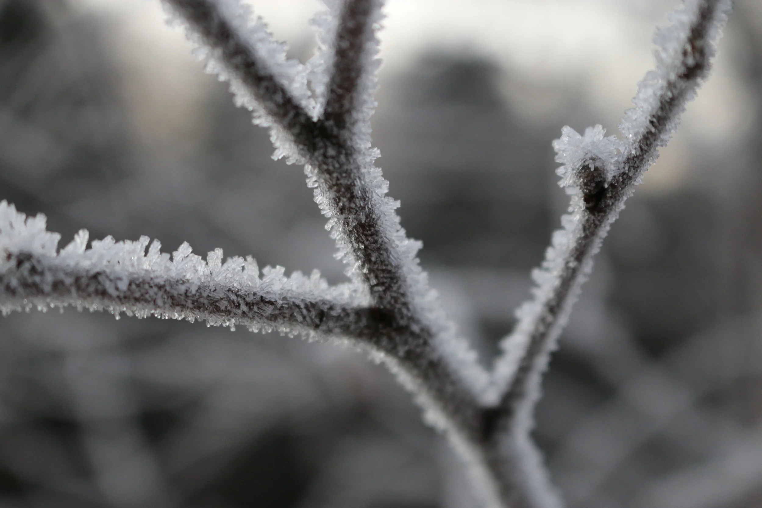 Icy Stick Year: 2016 Place: Svelvik Camera: Canon EOS 70D