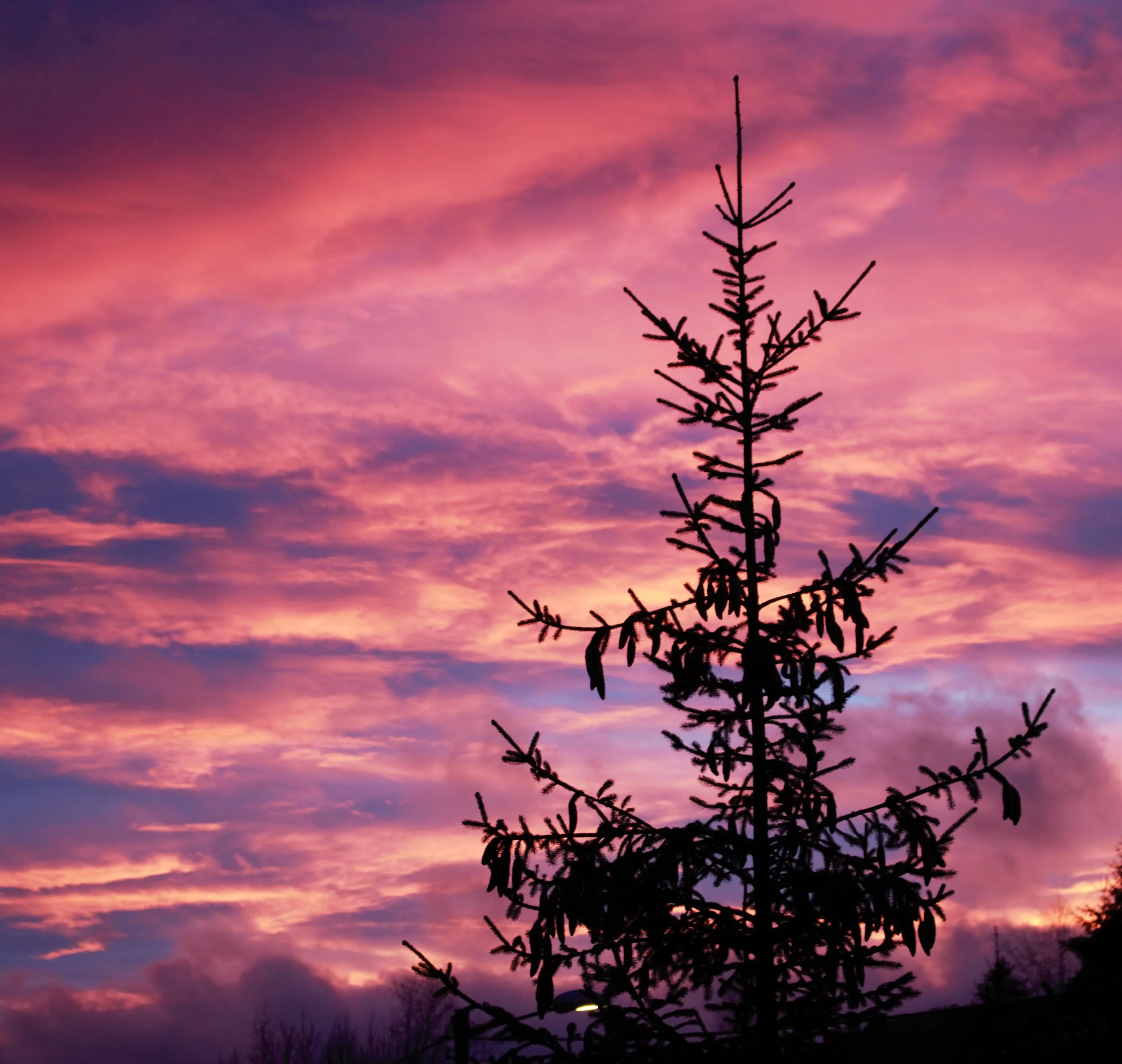 Pretty Sunset Year: 2015 Place: Svelvik Camera: Canon EOS 70D