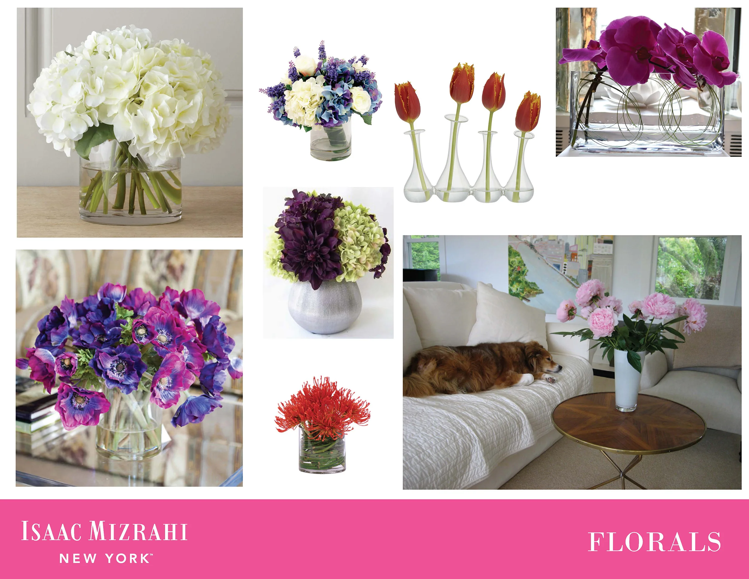isaacmizhome_11.jpg