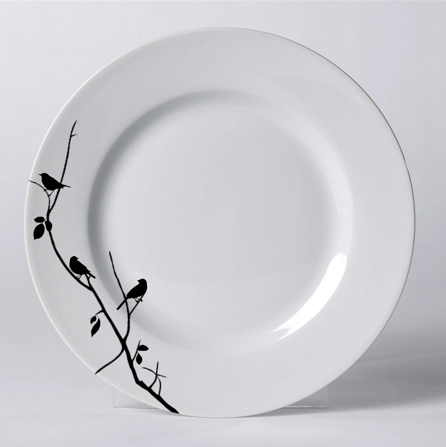 plate1.jpg