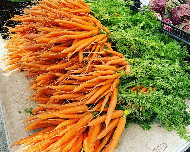 NY farmer markets are the best. Organic products with no chemical pesticides and seasonable fruit and vegetables #hudsonriver #farmersmarket #womeninfinance #luxurylifestyle #nature #organicfood #nyc #newyorklike #nylife #mindfulness #sustainability 