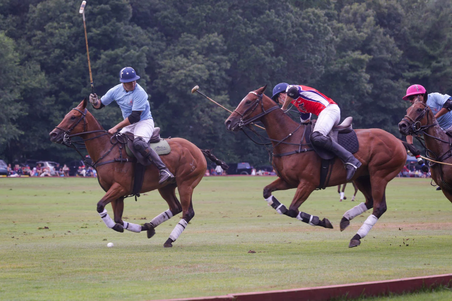 polo_horses.jpg