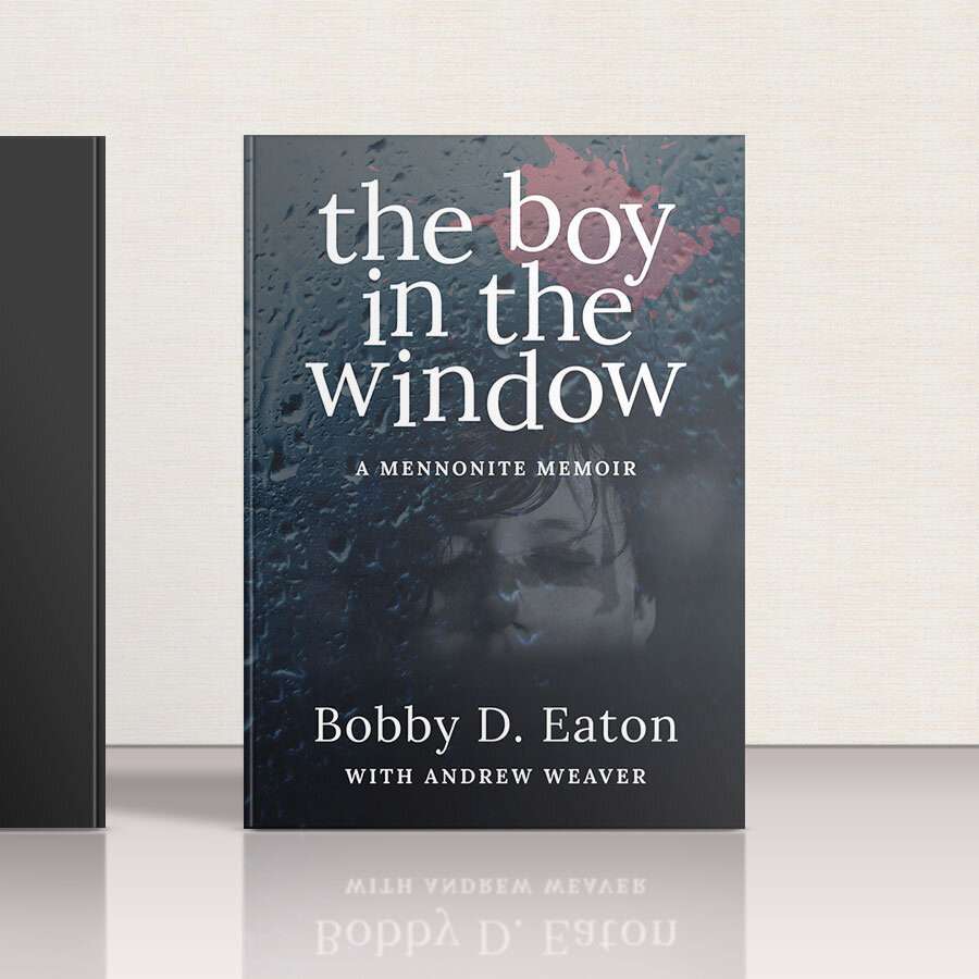 the_boy_in_the_window_portfolio_graphic.jpg