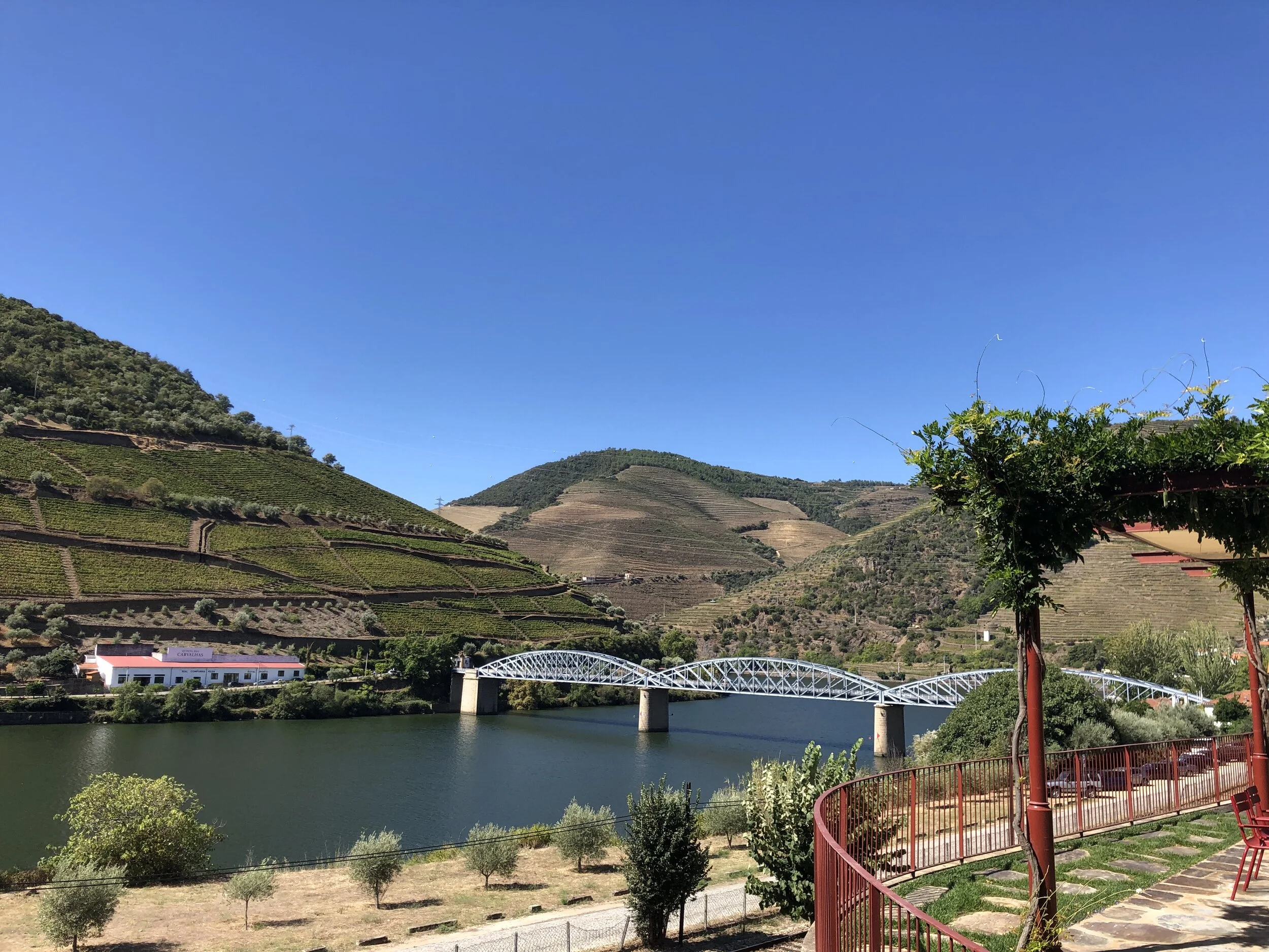 We started my birthday at Quinta Bomfim, part of the Symington Family wineries.