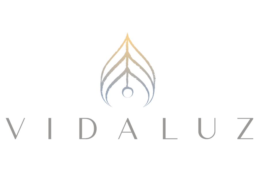 VidaLuz Development LLC Enters Series A Fundraise, Charts Path to B Corp Certification