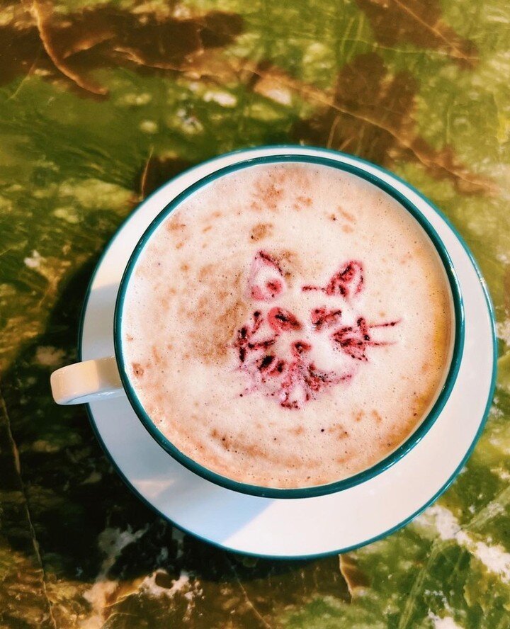 We'll take a double shot with a cute little 🐯 Get your caffeine fix and celebrate #NationalEspressoDay @TigerellaDC ☕️☕️☕️