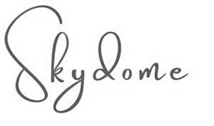 Logo-Skydome-300x178.jpg