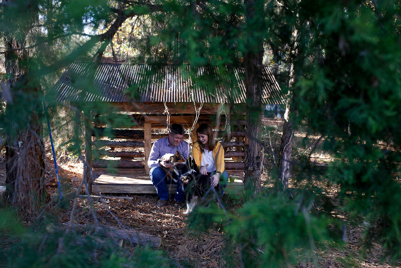 mini-cabin-couple-and-dogs-mini-session-family-documentary-photography-north-mississippi.jpg