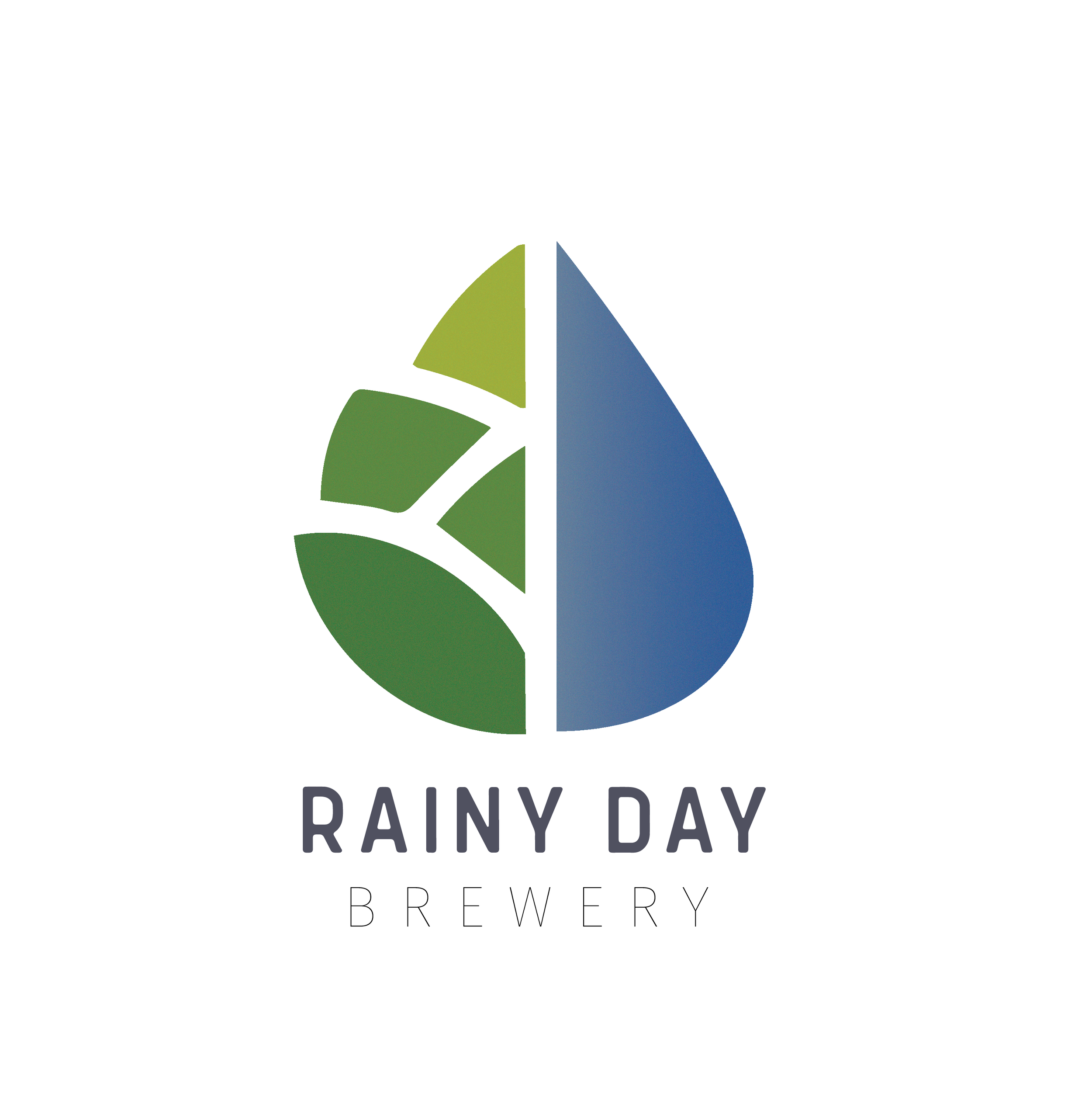 Logo_RDB_Raindrop_0620-05.png