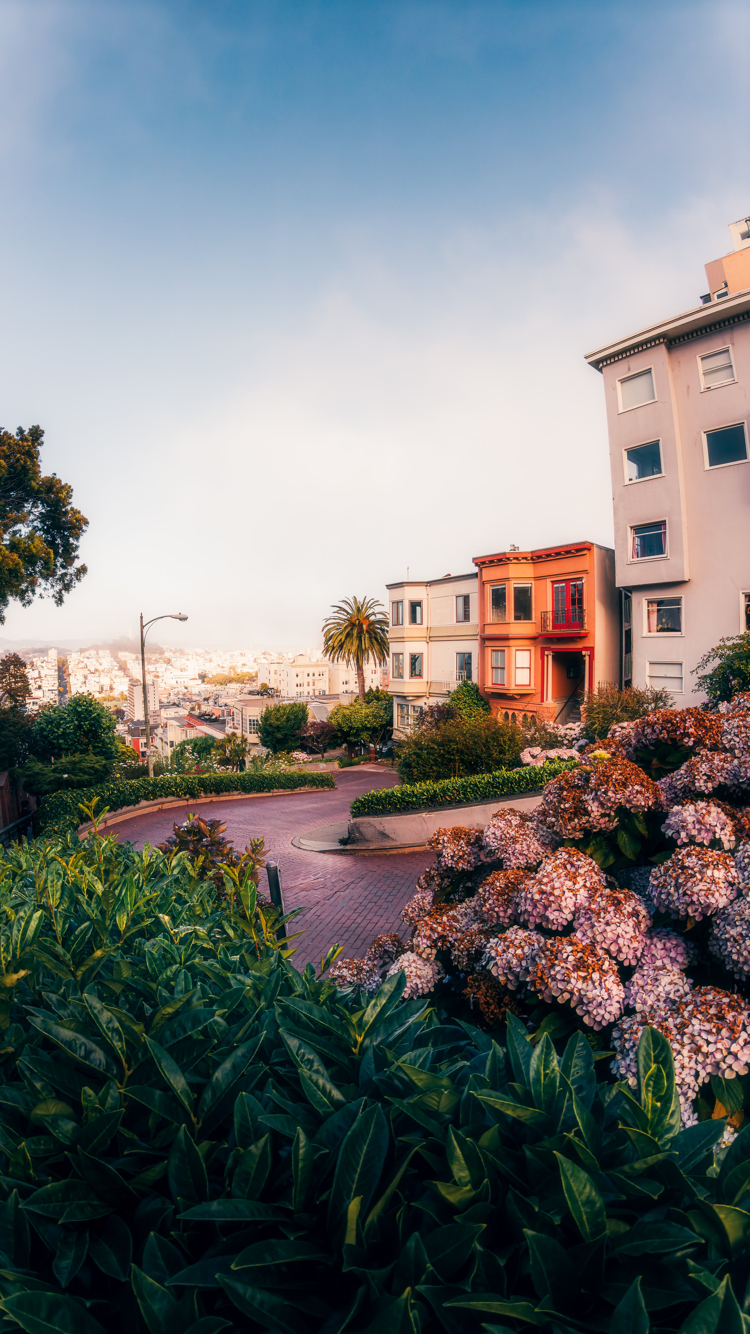 Insta360 Photo 7.jpg