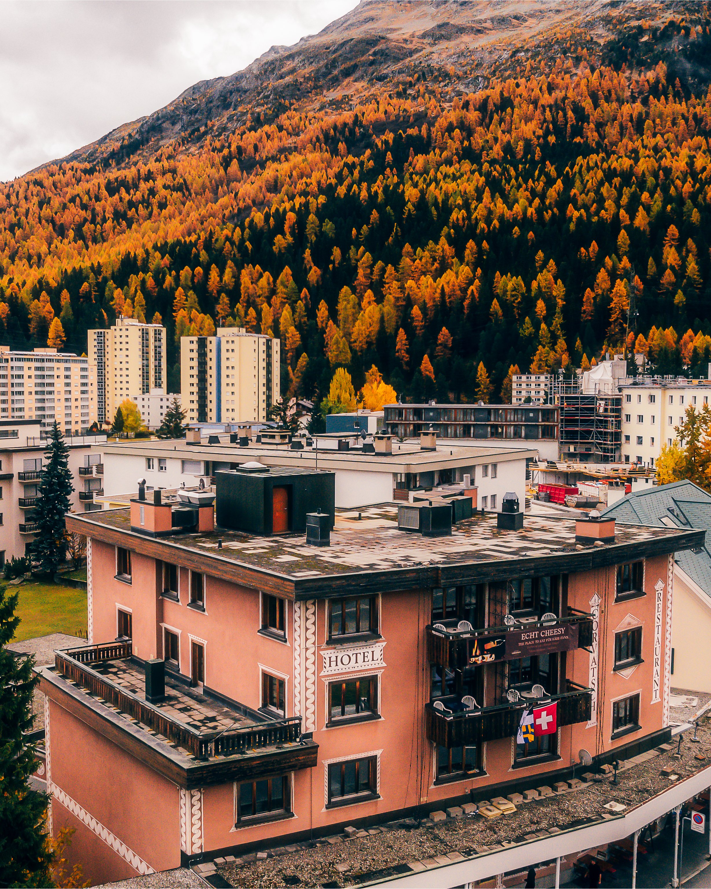 Reine Victoria 1 IG Crop.jpg