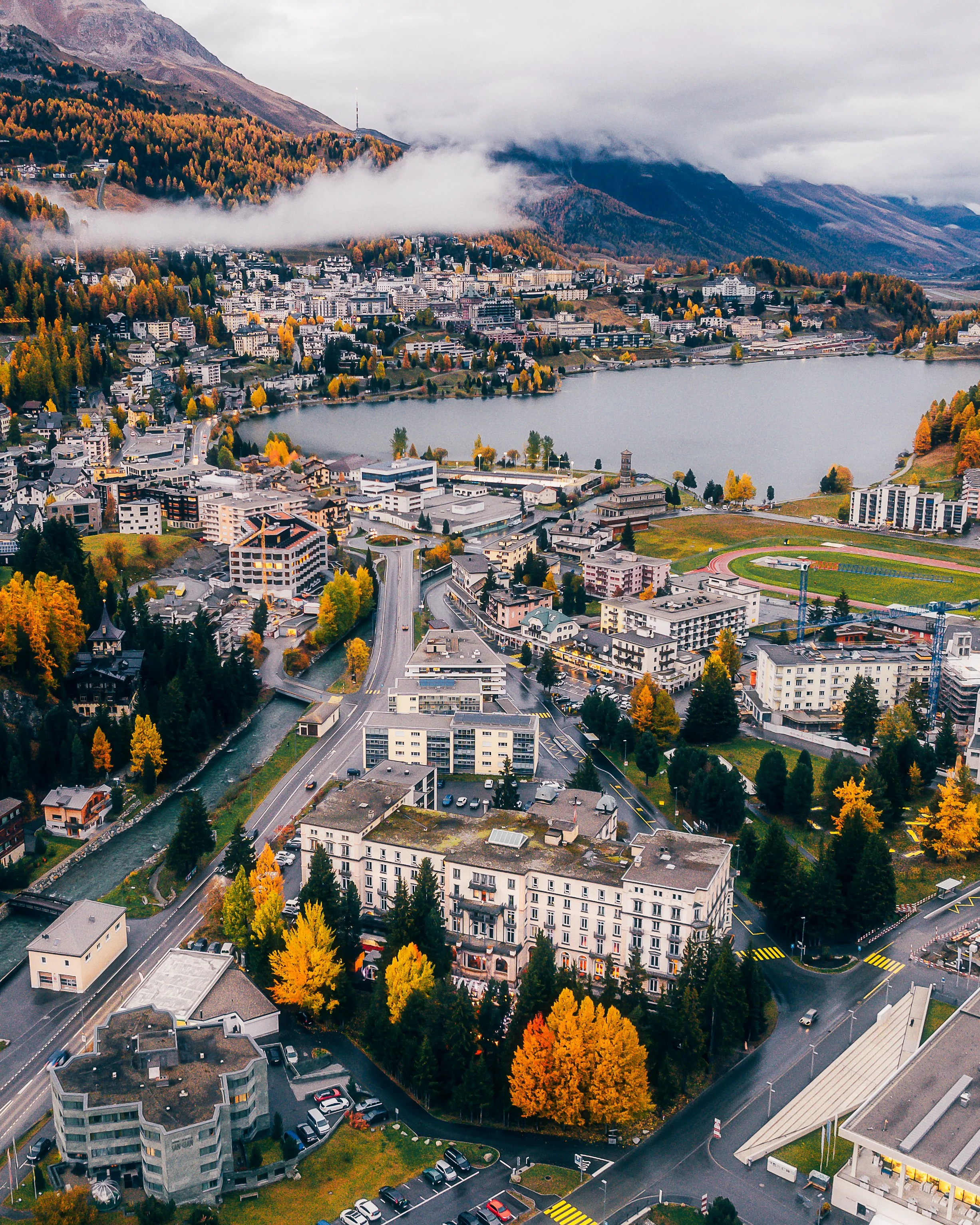 Reine Victoria 3 IG Crop.jpg