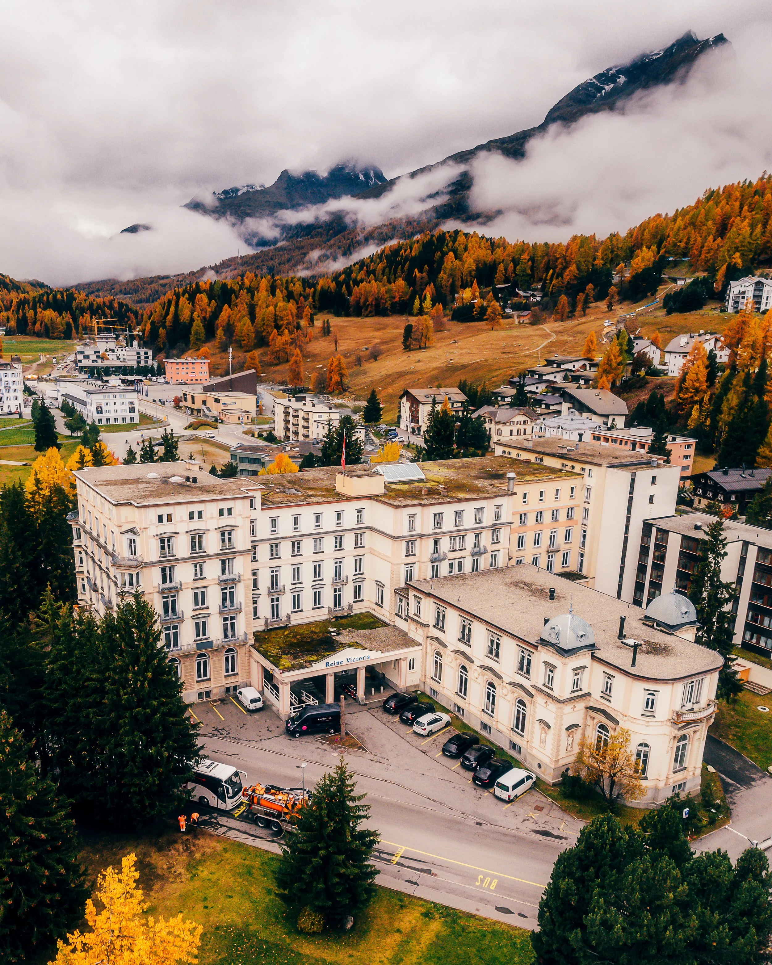 Reine Victoria 2 IG Crop.jpg