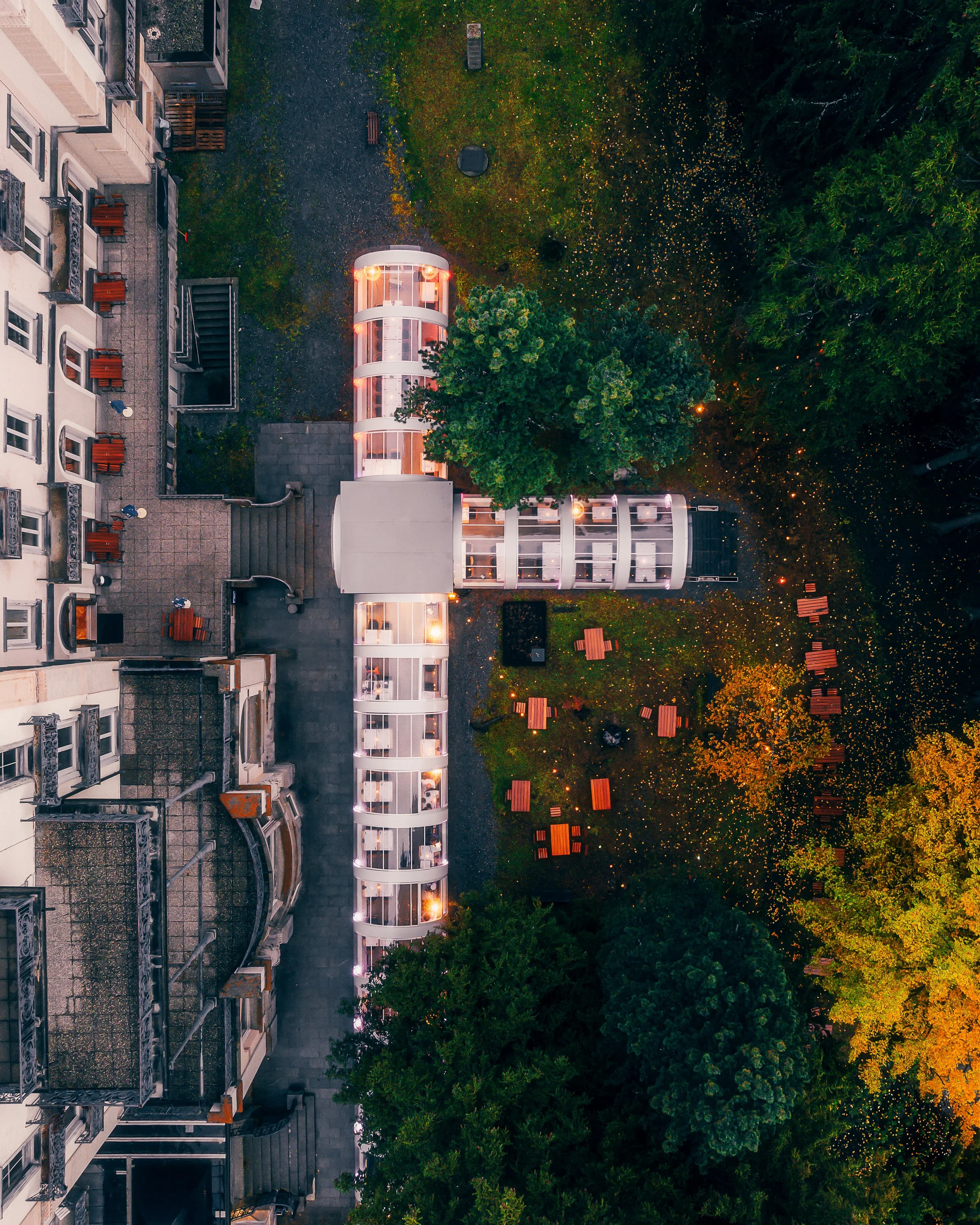 Reine Victoria 4 IG Crop.jpg