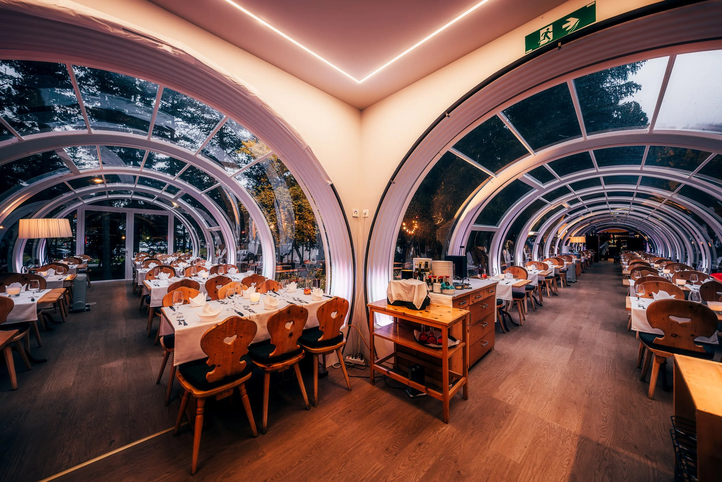 Reine Victoria 7.jpg