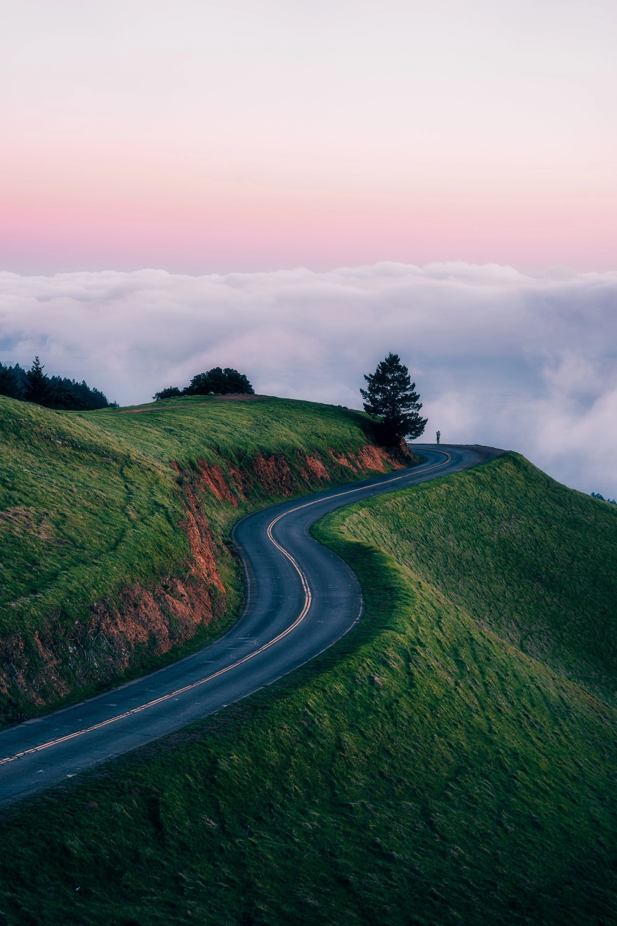 Mount Tam Curve.jpg