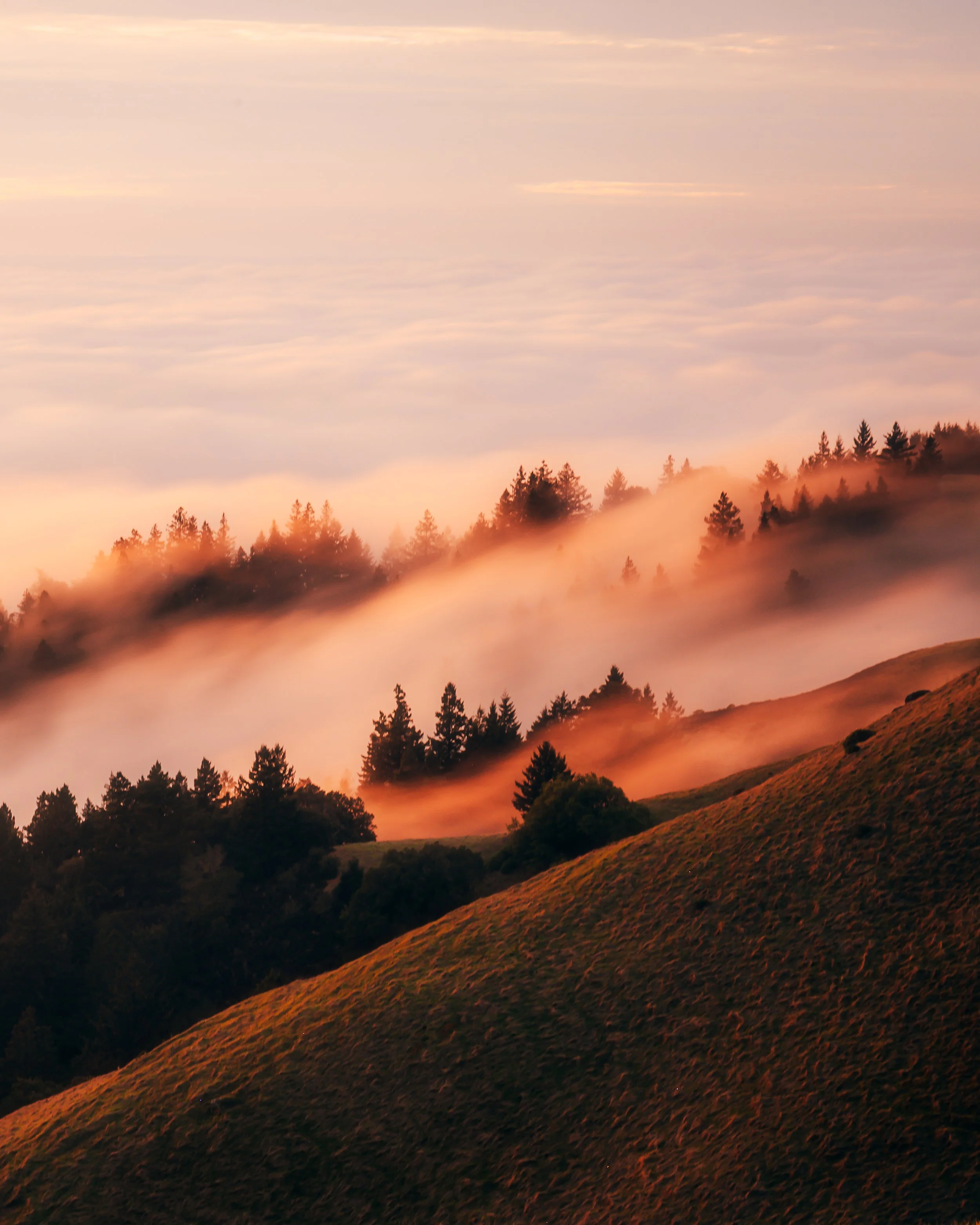 Mt Tam Fog Layers Landscape IG Crop.jpg