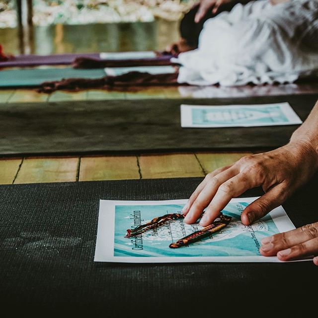 ✧ ✶ Y O G A 🧘🏻&zwj;♂️ ACADEMY ✧ ✶

Vibes featuring @alessandrasannyas @scottnanamura 
We love taking over exotic locations around the globe, and this year we are launching Ancient Hatha + Buddhist 200 hr Yoga Teacher Training on the Seaside of magi