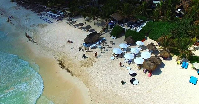 The Tulum Wellness Academy, is a holistic space, home to ZULUM a rustic &amp; nature inspired boutique hotel. The Tulum Wellness Academy delivers a healing approach to sensory experiences designed for awakening your soul&rsquo;s true nature 🙏