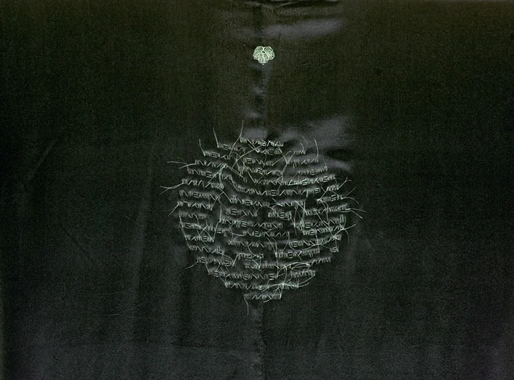 detail, white hair on silk kimono