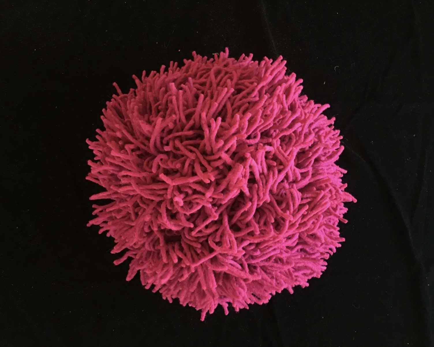 detail, "Antidotal," PomPom Installation, Starr Asian Studies Library, University of California, Berkeley, California, 2018
