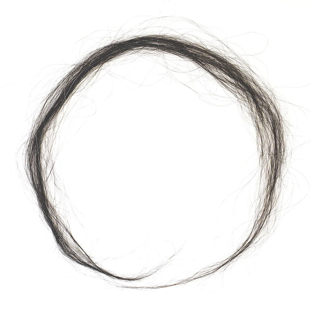 "Enso", 2003, human hair scanned, printed on archival paper, 24 x 24 inches