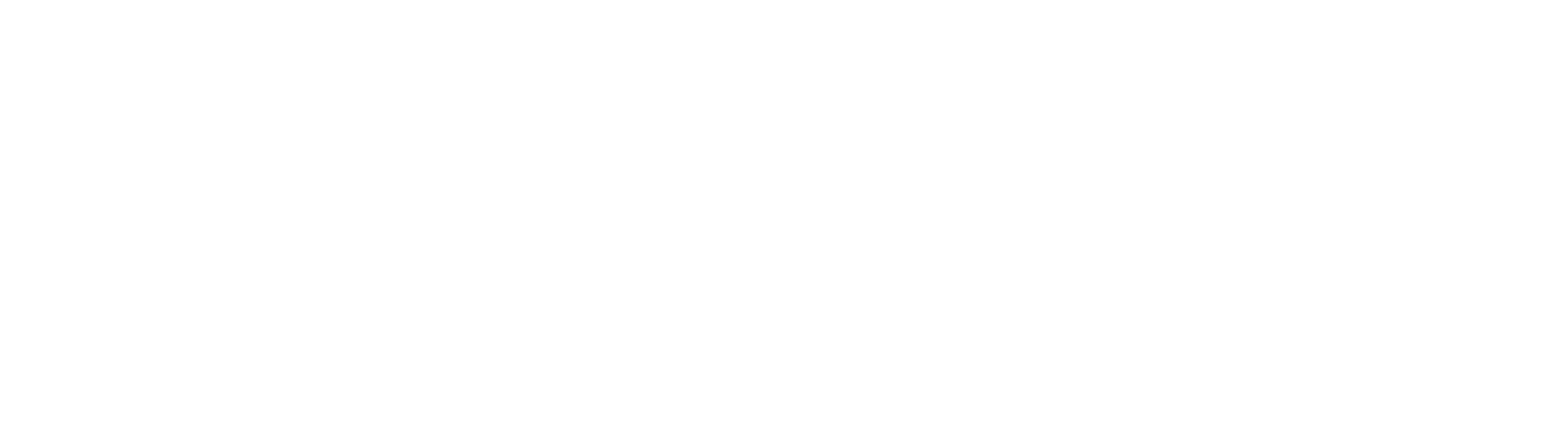 Ranked Choice Voting Bloomington