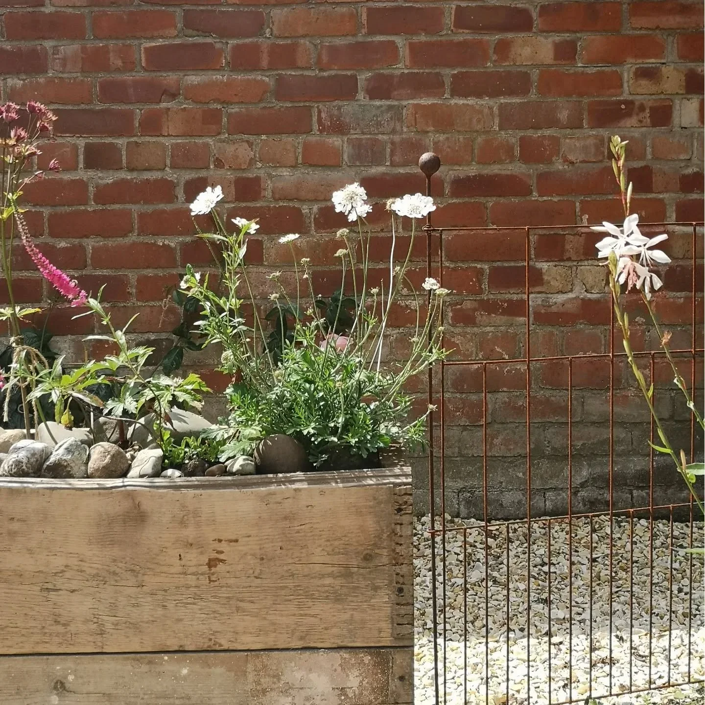 Event prepping!

The sun is shining! What shall tomorrow bring?

I'll be sharing a date for the second event early next week, if you'd love to come or would like to know more, please DM with the word event &amp; I'll be touch.

Have a beautiful day x