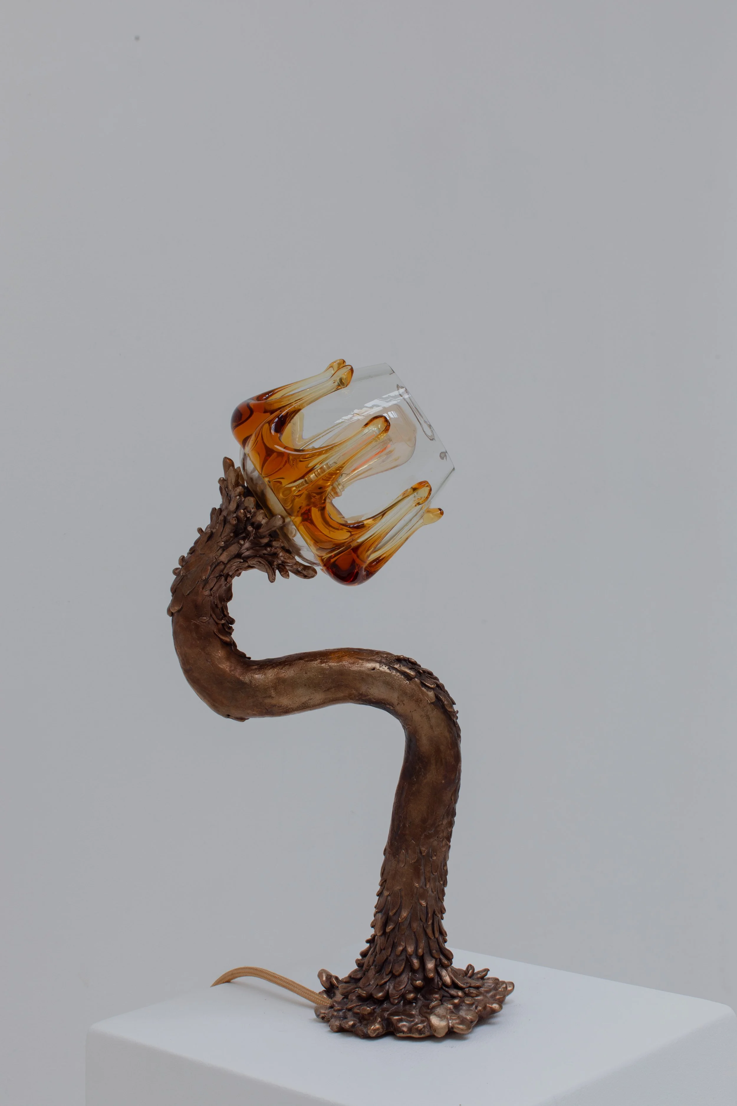 139A9710.jpg