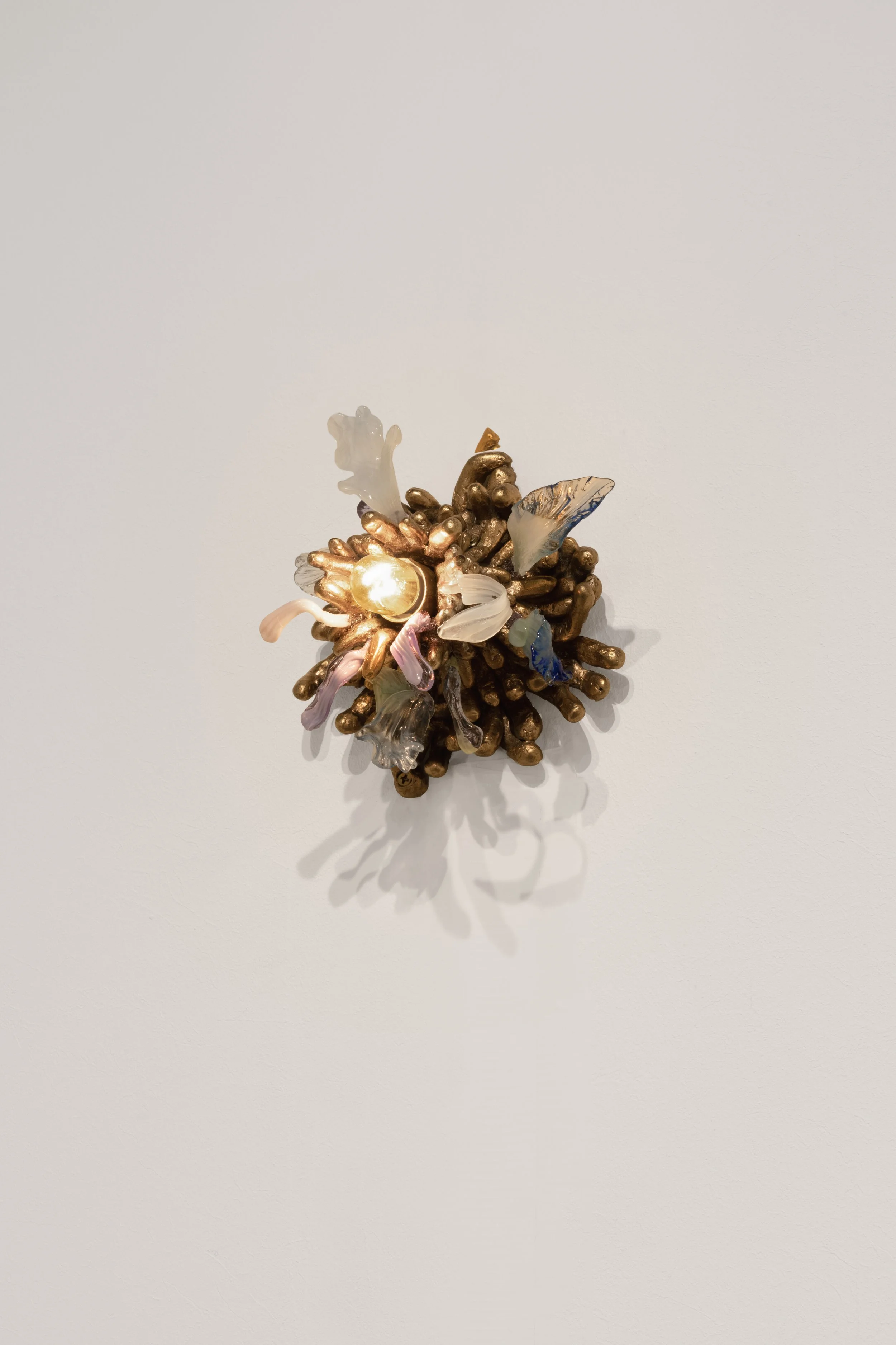 NI7_3951_high res.jpg